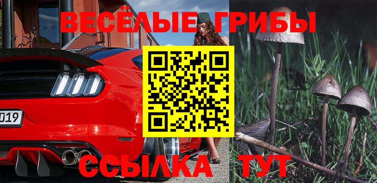 Галлюциногенные грибы Psilocybine cubensis Наро-Фоминск