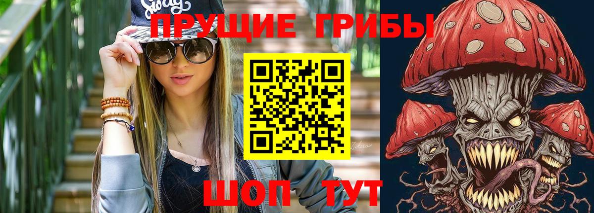 Псилоцибиновые грибы Psilocybine cubensis  магазин    Псилоцибиновые грибы GOLDEN TEACHER  Наро-Фоминск  Вход с VPN 